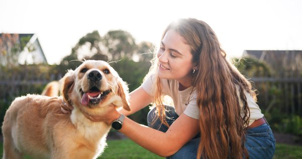 Assurance animaux : la protection pour le bien-être de vos amis